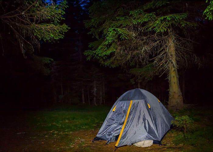 Camping & Tent Stay