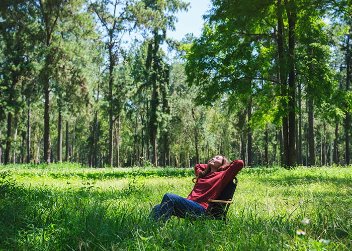Forest Relaxation