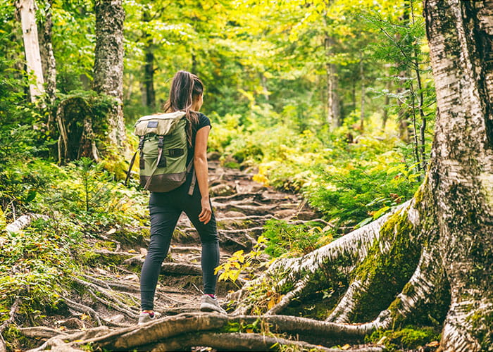 Trekking